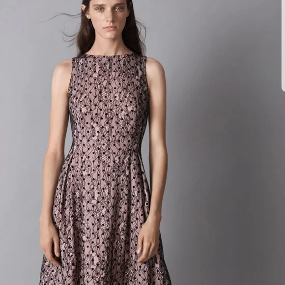 Jason Wu Dresses | Jason Wu Lace Dress | Color: Black/Cream | Size: Xl | Djkfoster's Closet